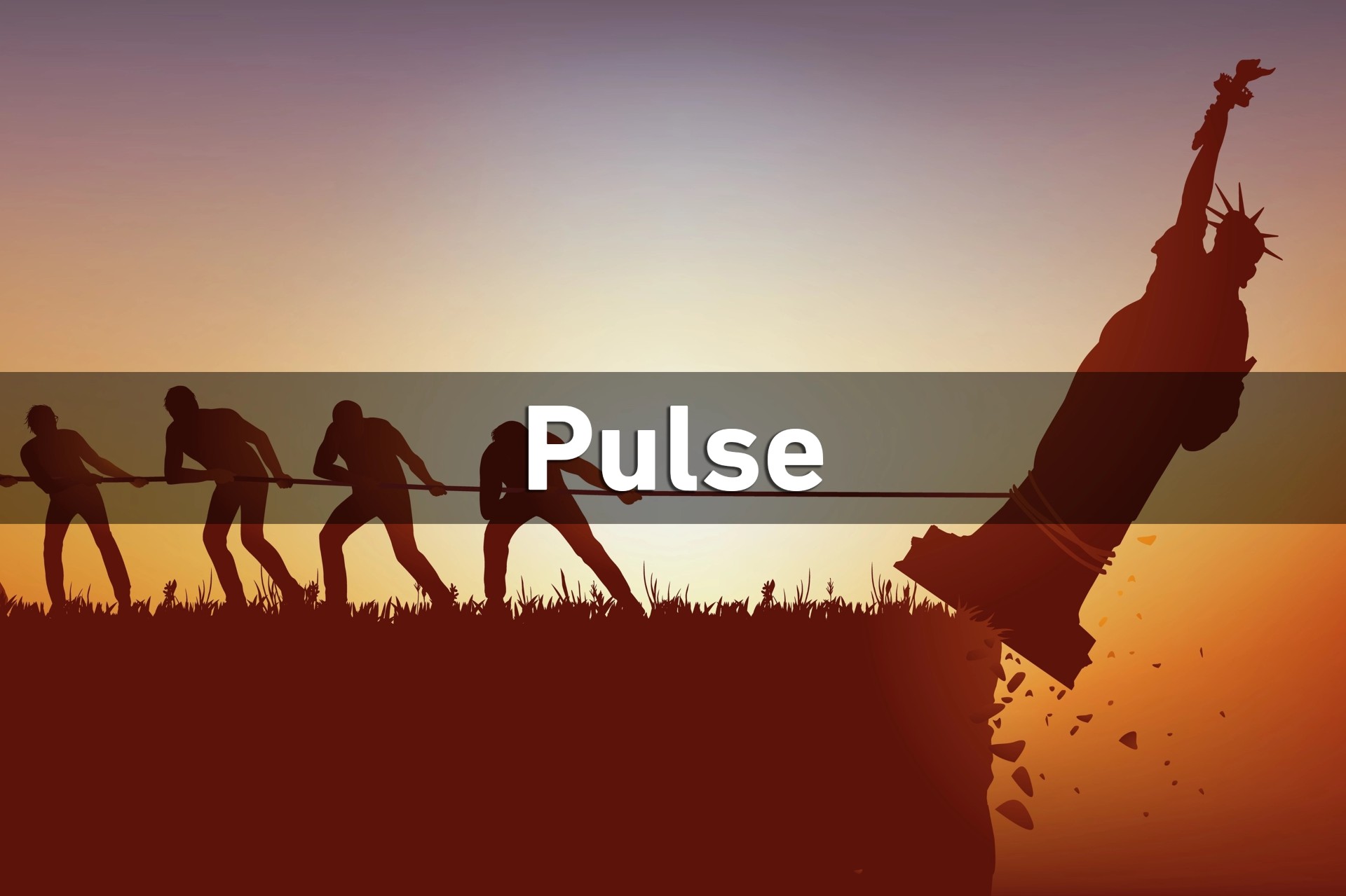Pulse: The New World Order